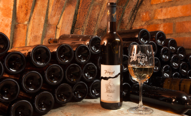 Foto k článku Víno mezi obrazy - ochutnávka vín z rodinného vinařství Prygl