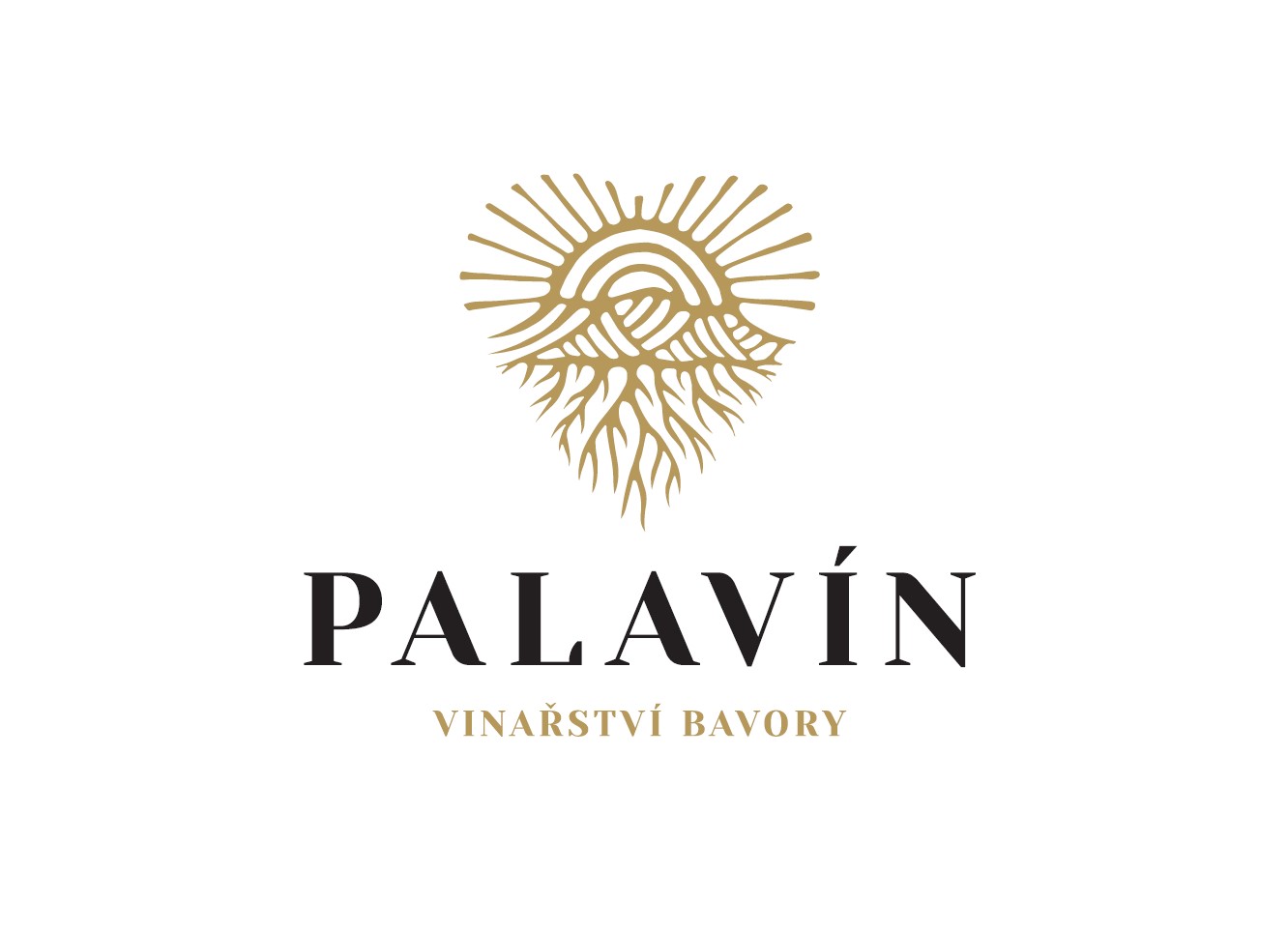 Foto k článku Víno mezi obrazy - vinařství Palavín 21.6.